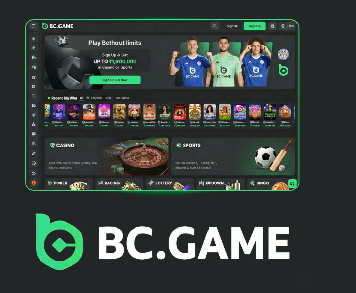 Exploring the BC.Game Platform in Kazakhstan A New Era for Online Gaming